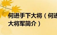 何进手下大将（何进-东汉末年灵帝时外戚、大将军简介）