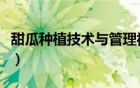 甜瓜种植技术与管理视频（甜瓜种植技术大全）