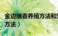 金边瑞香养殖方法和繁殖方法（金边瑞香养殖方法）