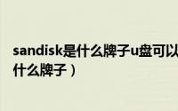 sandisk是什么牌子u盘可以在苹果平板上用吗（sandisk是什么牌子）