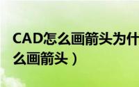 CAD怎么画箭头为什么直接线宽300（cad怎么画箭头）