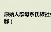 原始人群母系氏族社会父系氏族社会（原始人群）