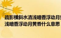 疏影横斜水清浅暗香浮动月黄昏说的什么话（疏影横斜水清浅暗香浮动月黄昏什么意思）