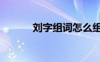 刘字组词怎么组词（刘字组词）