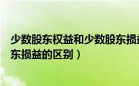 少数股东权益和少数股东损益调整（少数股东权益和少数股东损益的区别）