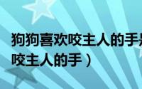 狗狗喜欢咬主人的手是怎么回事啊（狗狗喜欢咬主人的手）