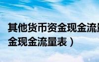 其他货币资金现金流量表怎么看（其他货币资金现金流量表）