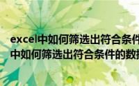 excel中如何筛选出符合条件的数据并进行标记数据（excel中如何筛选出符合条件的数据）