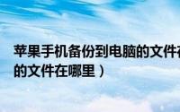 苹果手机备份到电脑的文件在哪里看（苹果手机备份到电脑的文件在哪里）