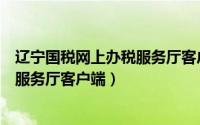 辽宁国税网上办税服务厅客户端打不开（辽宁国税网上办税服务厅客户端）