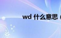 wd 什么意思（WDJ是什么）