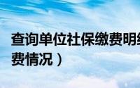 查询单位社保缴费明细查询（查询单位社保缴费情况）