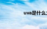 uva是什么大学（uva）