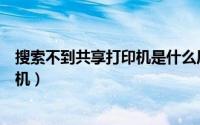 搜索不到共享打印机是什么原因（为什么搜索不到共享打印机）