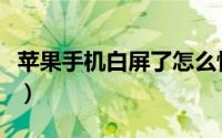 苹果手机白屏了怎么恢复正常（苹果手机白屏）