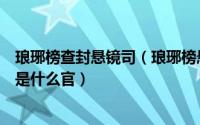 琅琊榜查封悬镜司（琅琊榜悬镜司是什么官职悬镜司掌镜使是什么官）