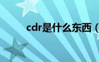 cdr是什么东西（cdr是做什么的）