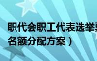 职代会职工代表选举票（职工代表选举办法及名额分配方案）