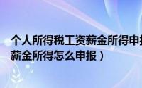 个人所得税工资薪金所得申报2024年2月（个人所得税工资薪金所得怎么申报）