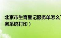 北京市生育登记服务单怎么下载电子版（北京市生育登记服务系统打印）