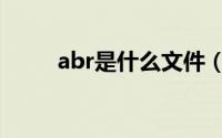 abr是什么文件（abr是什么格式）