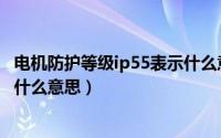 电机防护等级ip55表示什么意思呀（电机防护等级IP55表示什么意思）