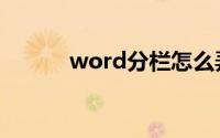 word分栏怎么弄（word分栏）