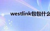 westlink包包什么档次（westlink）