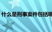 什么是刑事案件包括哪些（什么是刑事案件）