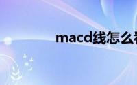 macd线怎么看（macd线）