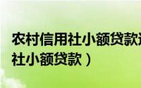 农村信用社小额贷款还不上怎么办（农村信用社小额贷款）