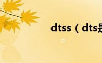 dtss（dts是什么意思）