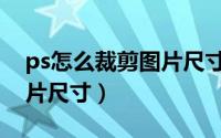 ps怎么裁剪图片尺寸不变形（ps怎么裁剪图片尺寸）