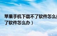 苹果手机下载不了软件怎么办还显示获取（苹果手机下载不了软件怎么办）