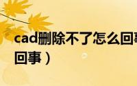 cad删除不了怎么回事儿（cad删除不了怎么回事）