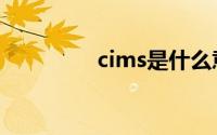 cims是什么意思（cims）