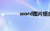 word图片组合（图片组合）