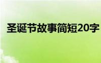 圣诞节故事简短20字（圣诞节的故事简短）