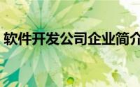 软件开发公司企业简介（软件开发公司简介）