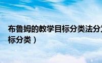 布鲁姆的教学目标分类法分为哪三大领域（布鲁姆的教学目标分类）