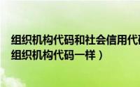 组织机构代码和社会信用代码是一回事吗（社会信用代码和组织机构代码一样）