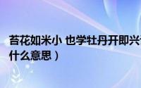 苔花如米小 也学牡丹开即兴评述（苔花如米小也学牡丹开是什么意思）