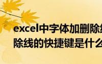 excel中字体加删除线（Excel表格中文字删除线的快捷键是什么）