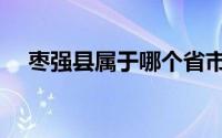 枣强县属于哪个省市（枣强县是哪个市）