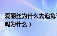 爱丽丝为什么去追兔子（爱丽丝后悔进兔子洞吗为什么）