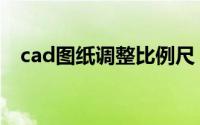 cad图纸调整比例尺（cad图纸调整比例）