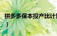 拼多多保本投产比计算公式（投产比计算公式）