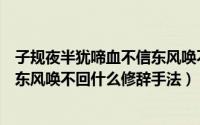 子规夜半犹啼血不信东风唤不回拼音（子规夜半犹啼血不信东风唤不回什么修辞手法）