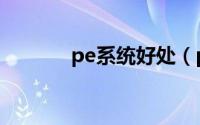 pe系统好处（pe系统是什么）