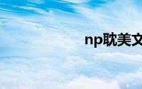 np耽美文一受多攻